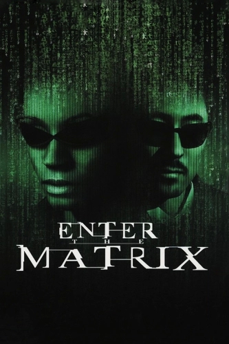 Enter the Matrix [P] [RUS + ENG + 5 / RUS] (2003, TPS) RePack'a: Diavol | R.G. REVOLUTiON