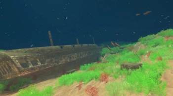 Kingdom of Wreck Business (2023)