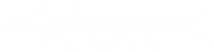Cyberpunk 2077 Logo White [1912×469 / PNG]