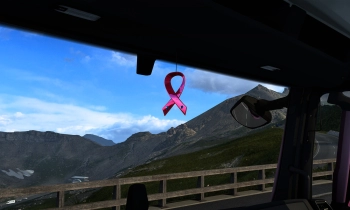 Euro Truck Simulator 2 - Pink Ribbon Charity Pack - Скриншот