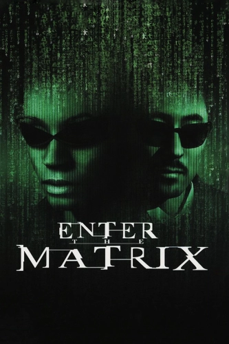 Enter the Matrix (2003) - Обложка