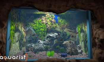 Aquarist - Скриншот