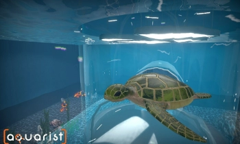 Aquarist - Скриншот
