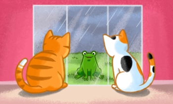 Cats Love Boxes - Скриншот