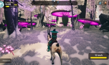 The Witch of Fern Island - Скриншот